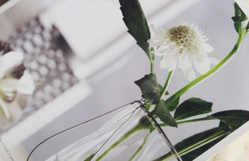 Roost painting with white wooden frame