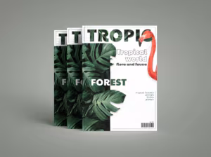 In Catalogue Gò Vấp