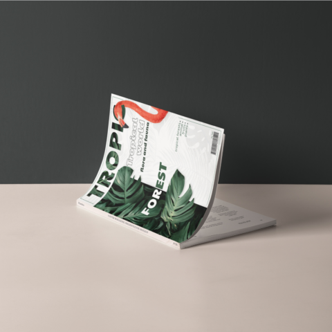 In Catalogue Phú Nhuận