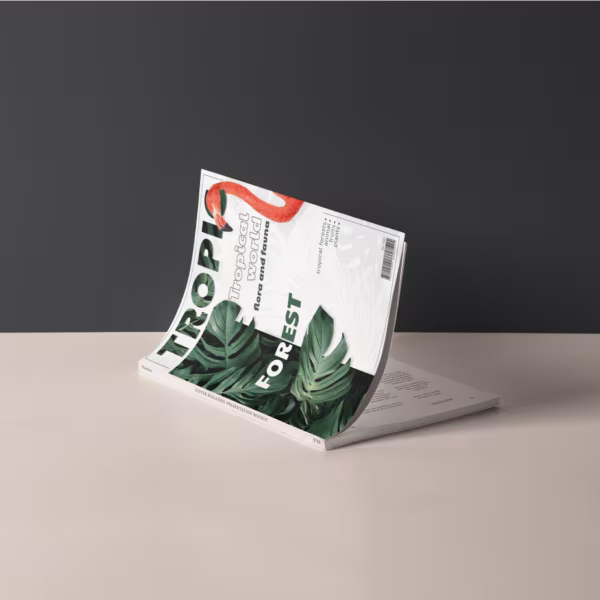 In Catalogue Phú Nhuận