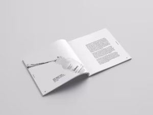 In Catalogue Quận 6